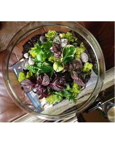 Spring time terrarium